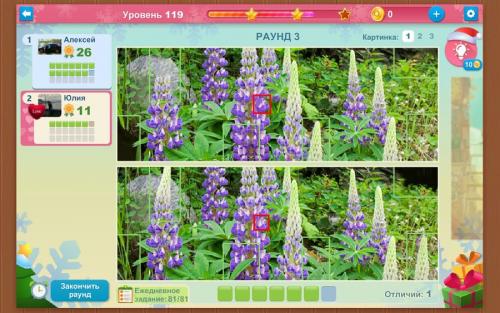 5 отличий онлайн игра ответ цветы сиреневые.jpg