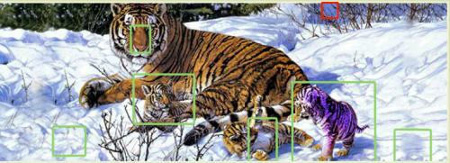 5 отличий онлайн тигр и тигрята в снегу  картинка изображение ответ .jpg