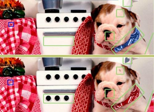 5 отличий онлайн щенок бульдога на кухне картинка изображение ответ .jpg